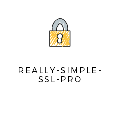 Really Simple SSL Pro 