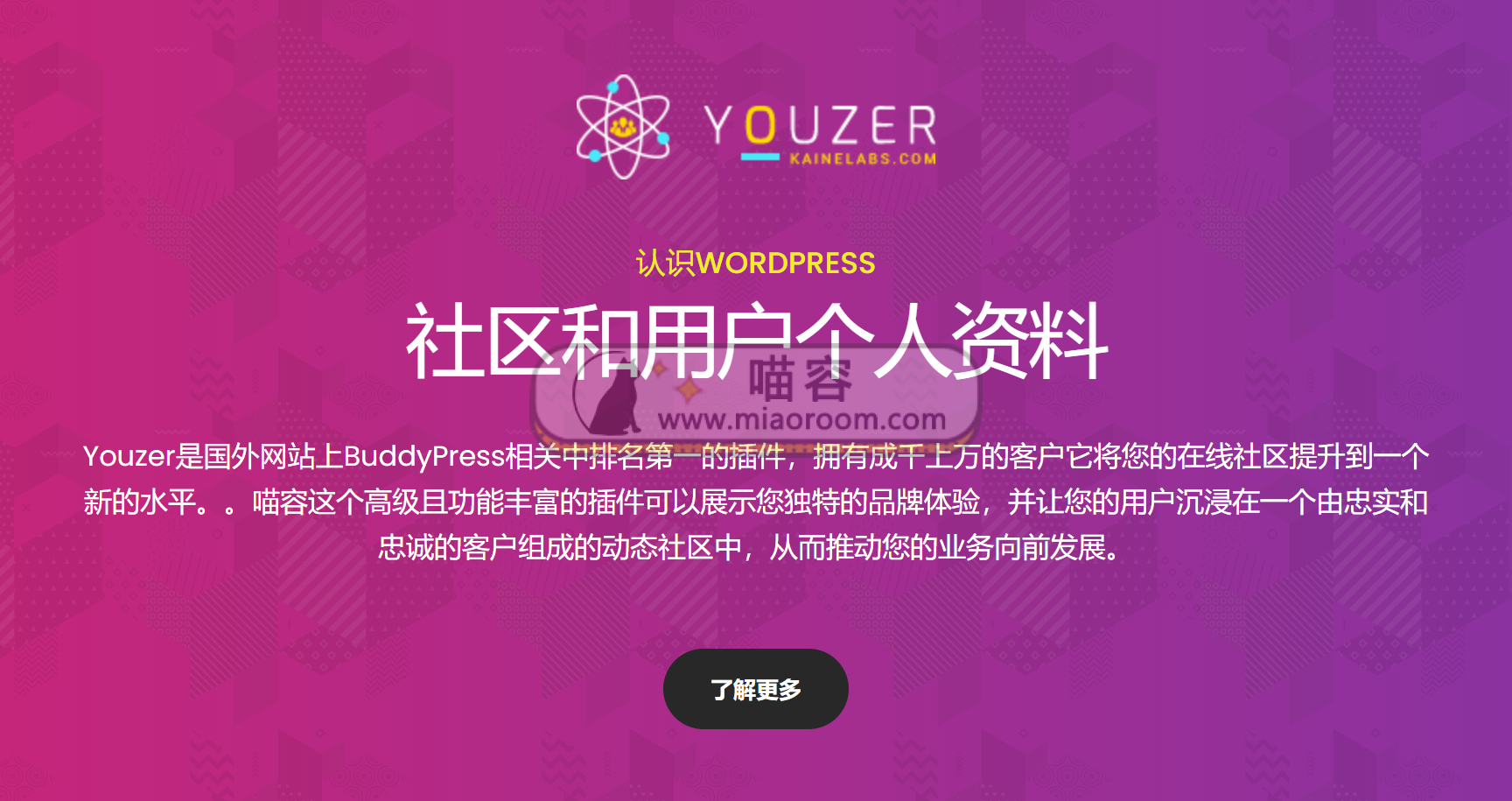 Youzer + addons 破解专业版 BuddyPress 社区用户个人资料中心 - 第1张