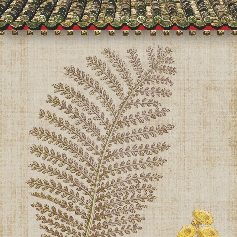 [PS模板] 40种中国风工笔画素材