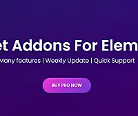 Piotnet Addons Pro 破解专业版Elementor 增强插件