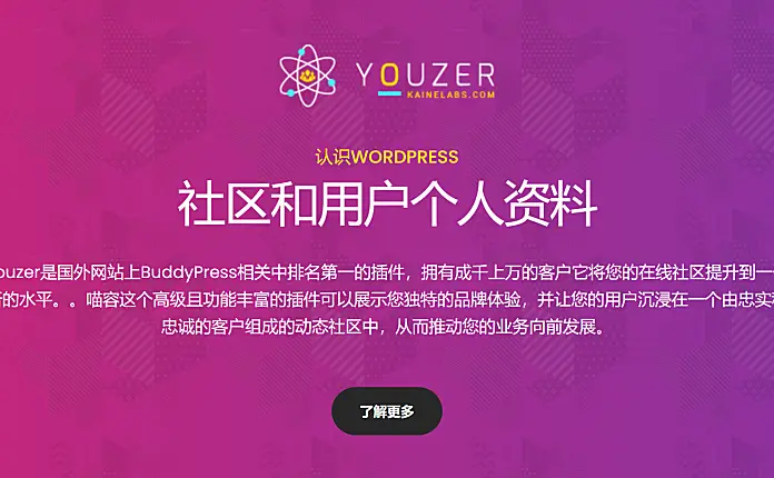 Youzer + addons 破解专业版 BuddyPress 社区用户个人资料中心
