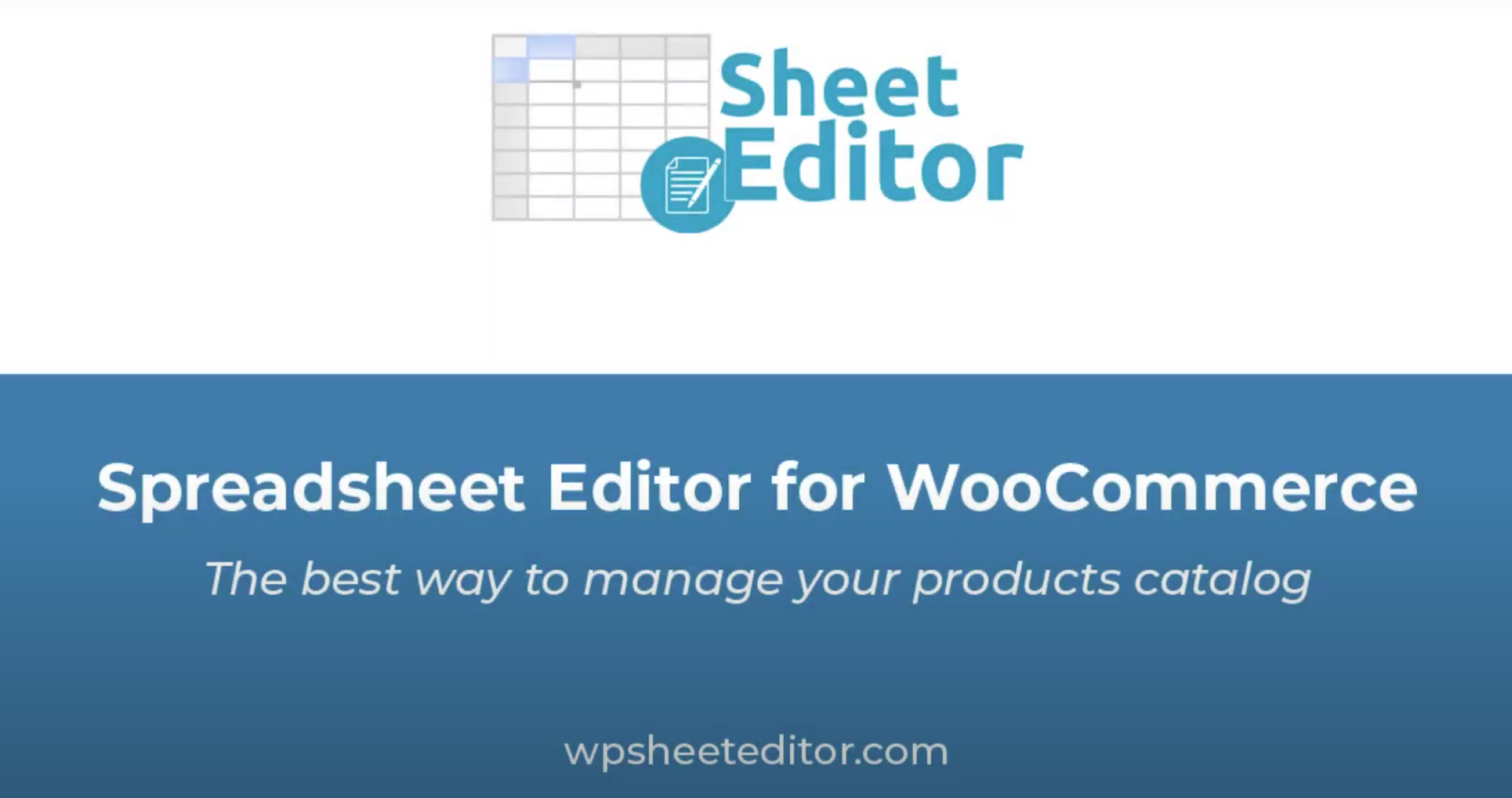 WP Sheet Editor Premium - 第1张