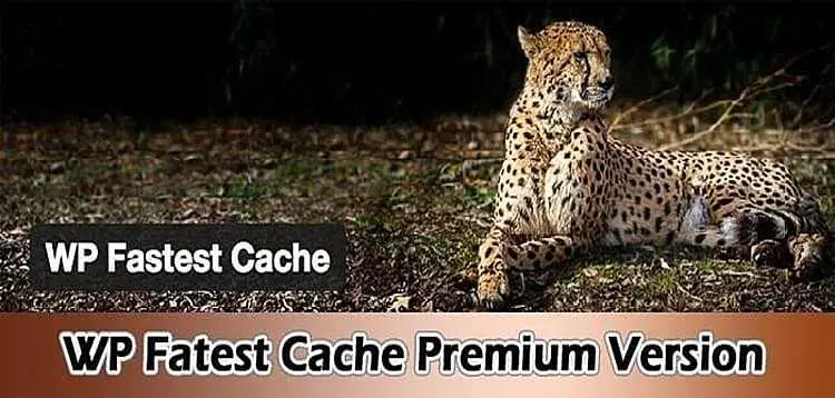 WP Fastest Cache Premium 专业破解 【完美中文汉化】 性能优化插件