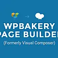 WP Bakery Page Builder v6.6.0 中文汉化 已更新 - 第1张