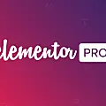 Elementor Pro v3.2.0 破解版 中文汉化 已更新 - 第1张