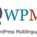 WPML Pro v4.4.10 中文汉化破解 已更新 - 第1张