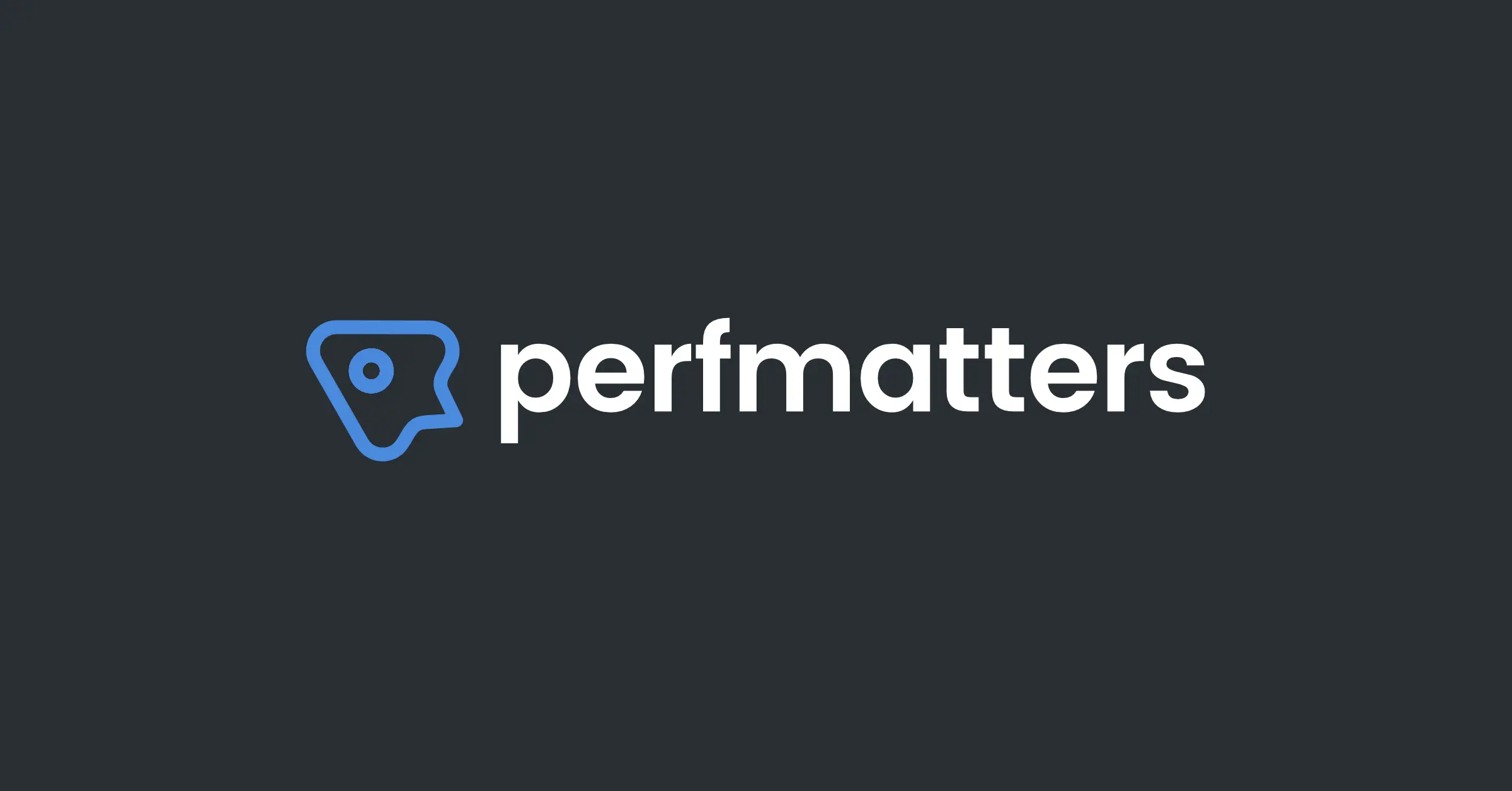 Perfmatters v2.0.1 中文汉化下载更新 - 第1张